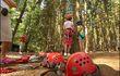 Forestia : parcours d'aventure